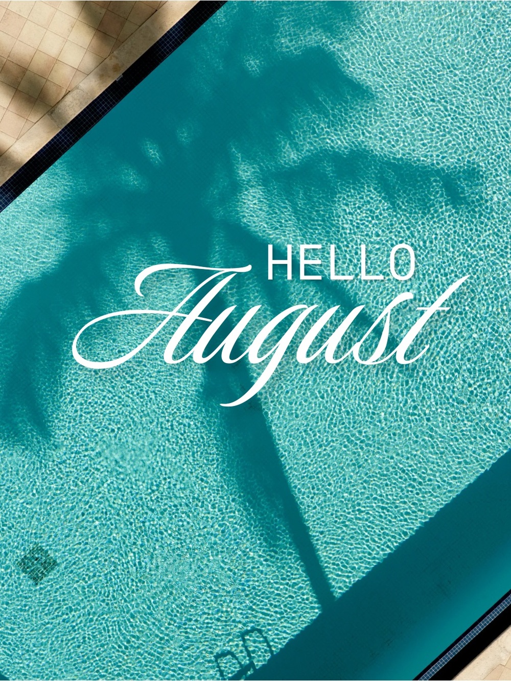 🌞 AUGUST 3 Show / Summer Special